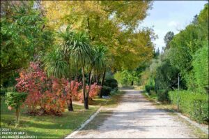 Read more about the article Βοτανικός κήπος “Ι. & Α. Διομήδους”: Ένας μικρός παράδεισος!